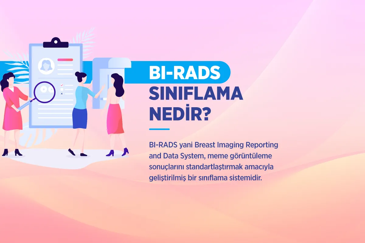 Meme Ultrasonu 3 bi rads siniflama nedir