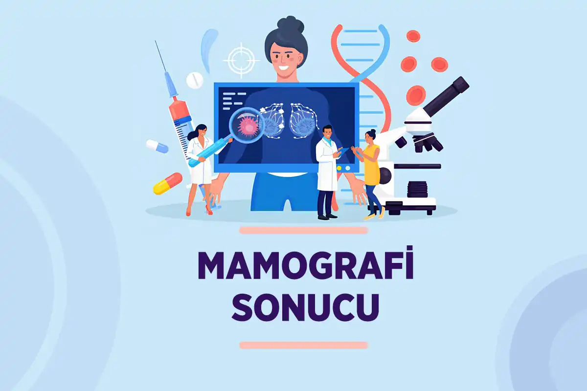 Mamografi 3 mamografi sonucu